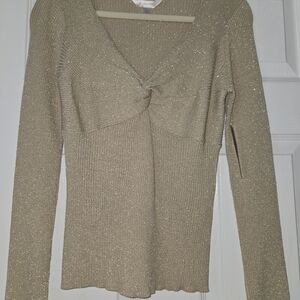 No Boundaries Gold Shimmer Knit Blouse